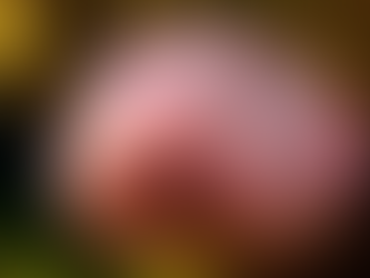 İnsan yüzüne benzeyen yüzleri olan balıklar