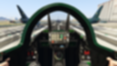 Flight Training