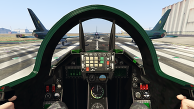 Flight Training