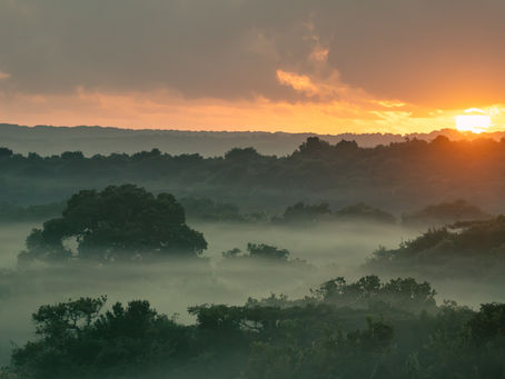 Kosi Bay: A Sunrise Spectacle of Natural Beauty