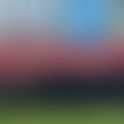 Introducing Booster Blast