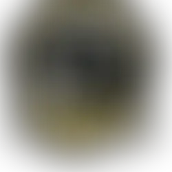 A new journey! Fundraising for students