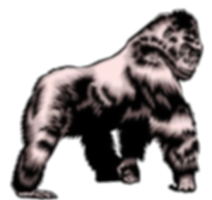 Silverback Construction Services Logo cropped_edited_edited.png