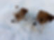 IMG20231203103036_Bokeh.jpg