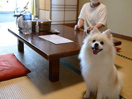 ペットも大切な家族♪動物大好きなスタッフばかりですので、安心して連れてきてください（^^）