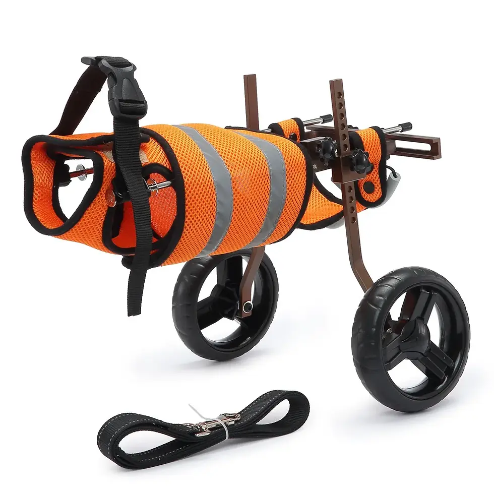 Thumbnail: Adjustable Pet Wheelchair – Eco‑Friendly Mobility Aid for Small & Medium Dogs