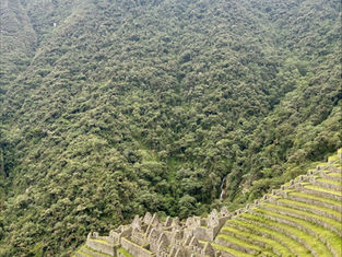 Stepped stone terraces of Machu Picchu on green mountains, showing the engineering and rhythm of the Inka civilization