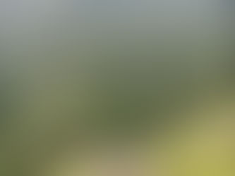 Stepped stone terraces of Machu Picchu on green mountains, showing the engineering and rhythm of the Inka civilization