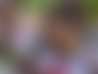 Advocates Slam PBA for Misleading Interpretation of Legal Ruling Allowing Pantaleo Trial to Proceed