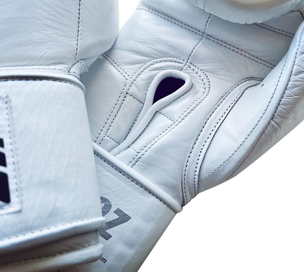 Professional SS boxing gloves All White 8oz/10oz/12oz