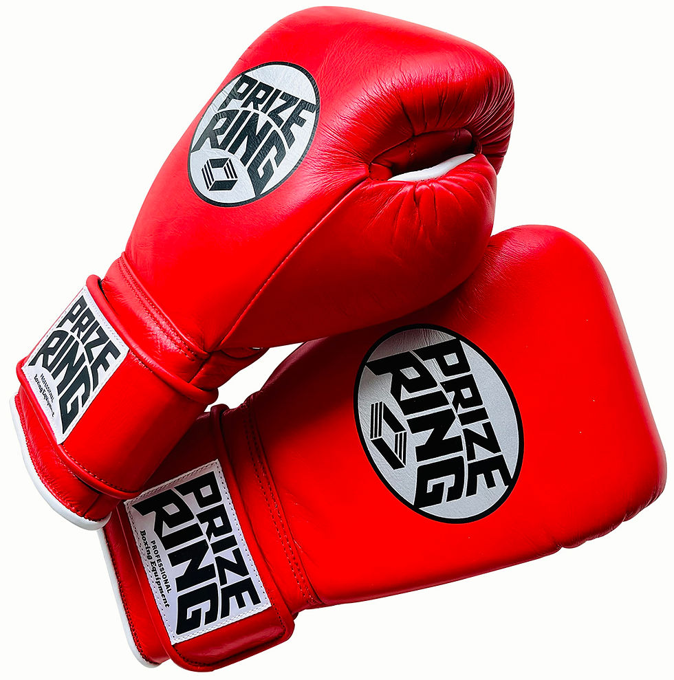 ボクシング Professional SS boxing gloves Red/Silver Professional SX