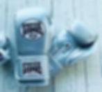 "Professional SX"(slim style) boxing gloves Silver 10oz,14oz,16oz