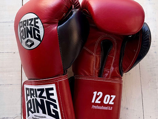 BOXING GLOVES | prizeringsports