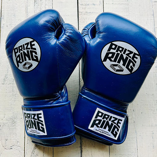 FOCUS MITTS | prizeringsports