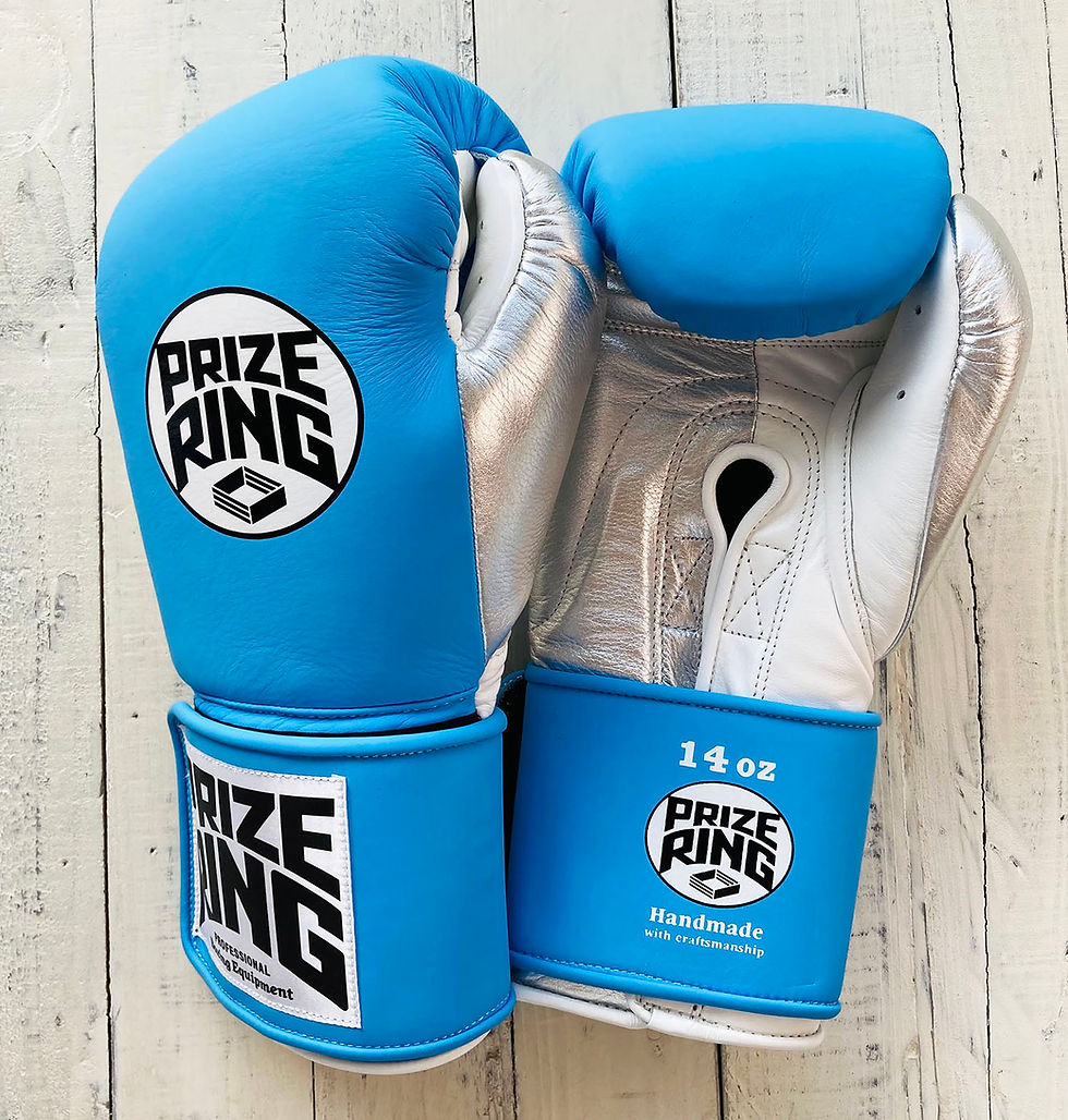 PRIZE RING "ProTraining" boxing gloves Sky blue/Silver 14oz/16oz prizeringsports