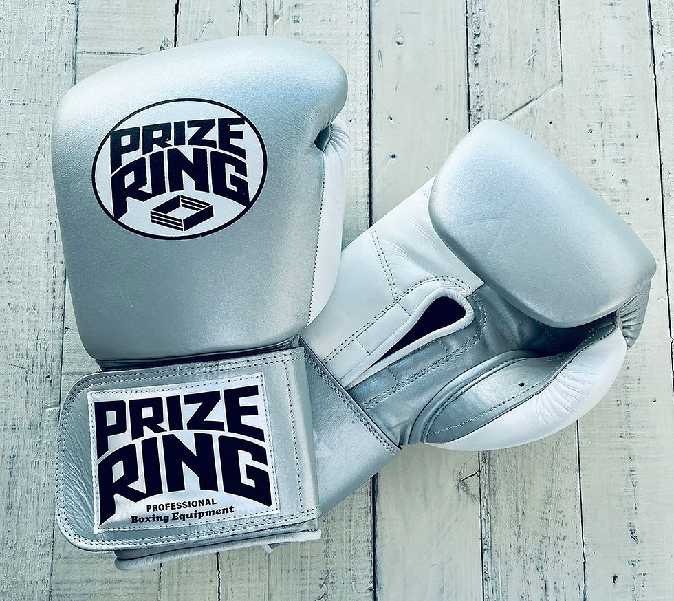 PRIZE RING "Professional 5.0" boxing gloves Silver/White 14oz,16oz