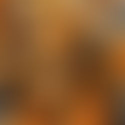 Manipulated Anamnesis