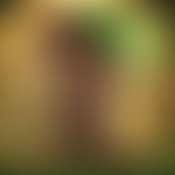 Meet People Where They Are