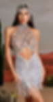 sexy rhinestone bodysuit and dress