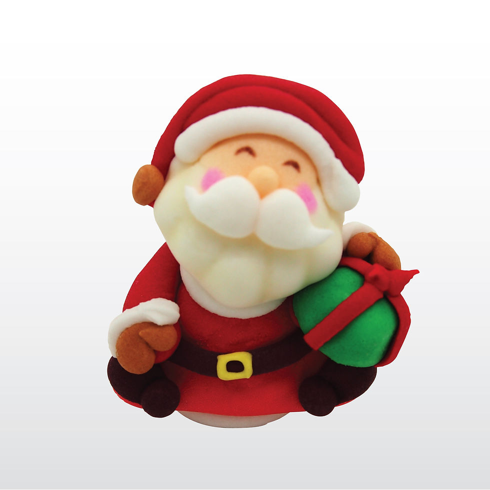 Happy Christmas Santa