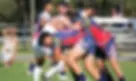 rs=w_1280 (1).webp
