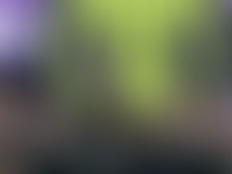 Futebol é contexto, e o Brasileirão 2022 deixou isso mais claro do que nunca