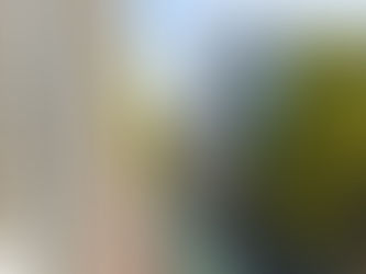 Immeuble résidentiel à Marseille illustrant le marché locatif