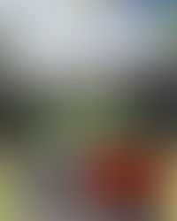 PEMBATASAN SEKTOR TRANSPORTASI PADA MASA PPKM LEVEL 4.