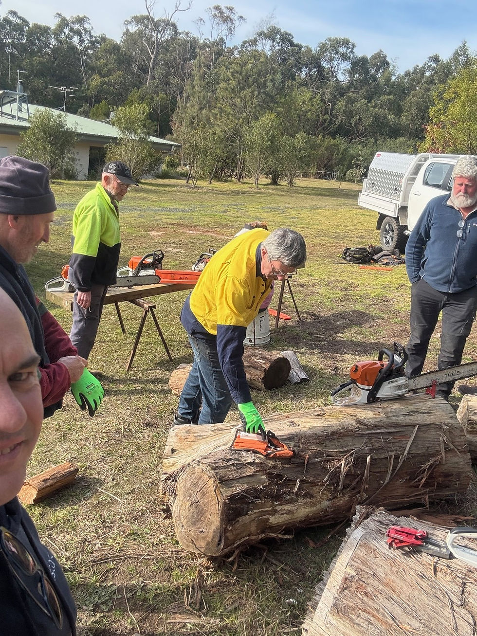 RCFG takes on TAFE Chainsaw Course