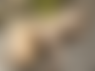 Vintage Bronze Lizard Sculpture