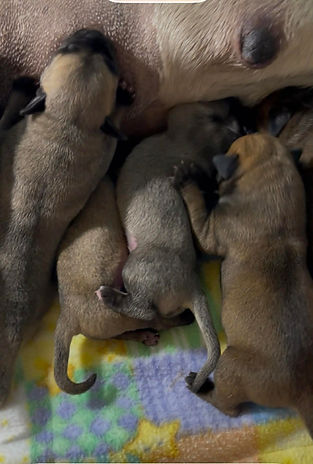 Lydiababies3daysold4-26.jpg