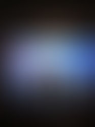 Tim Burton alla XV Florence Biennale: anatomia di un incanto