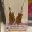 Thumbnail: Little Bear Dangling Earrings