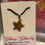 Thumbnail: Mini Star Necklace