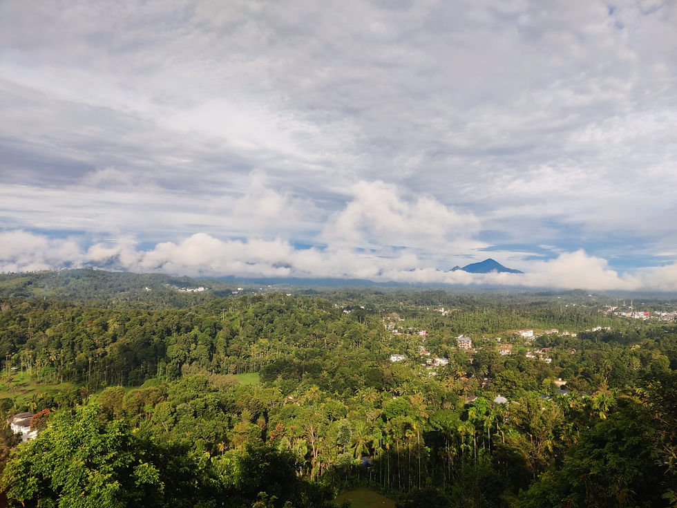 Space Rock Resorts Wayanad