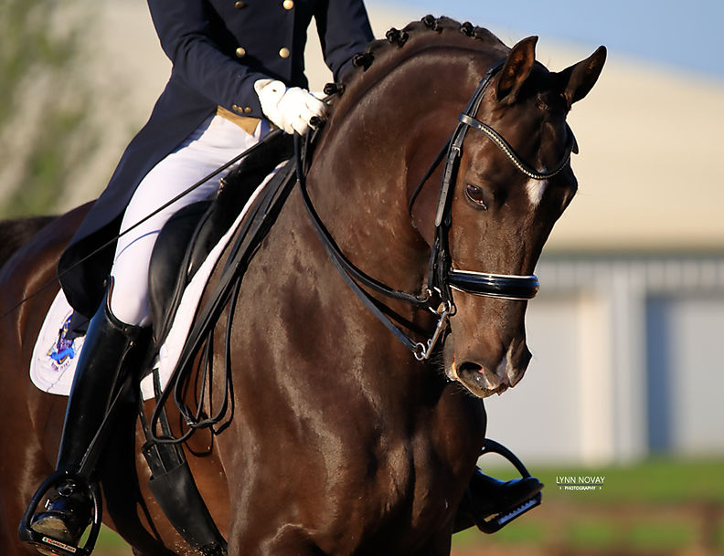 1D7A6453 copy.JPG