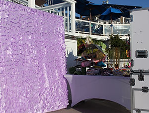 Petal Backdrop 1.jpg