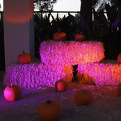 PUMPKIN PATCH NIGHT.png