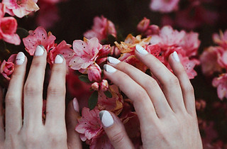 Manicured Hands