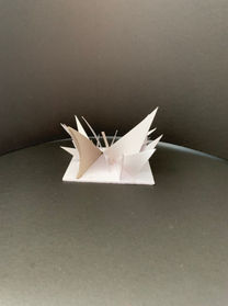 WhatsApp Image 2022-09-16 at 11.20.10 AM.jpeg