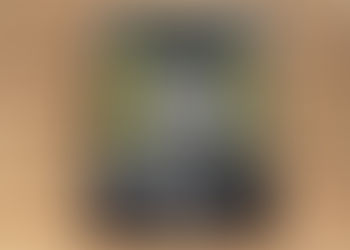 白人俘虜:從日軍在臺戰俘營到盟軍戰犯法庭 作者:張維斌
