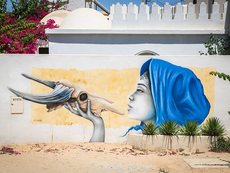 "Djerbahood": Le street art tunisien