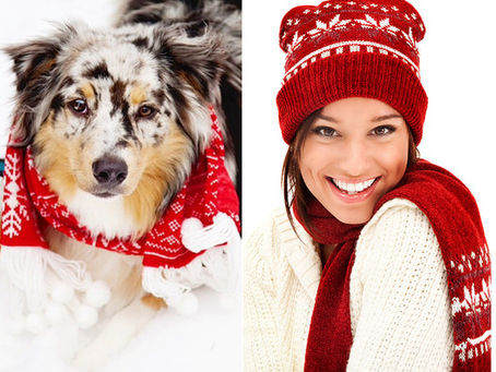 Jax n Joe pour Chien Mondain : Du prêt-à-porter pour habiller les femmes et leurs chiens