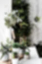 0520-FreshGreens-4_0836040600.jpg
