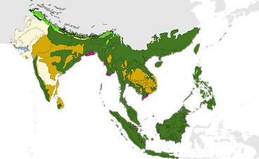 Indomalayan_biomes.svg.png