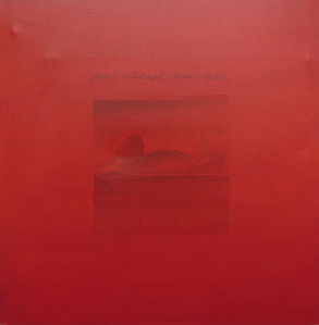 paû-ñd-açú 50x50.JPG