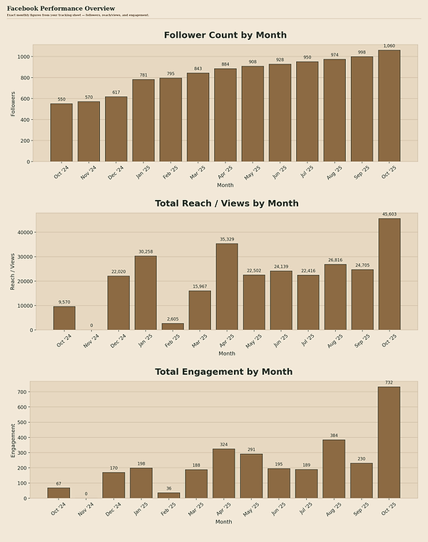 FB performance dash.png
