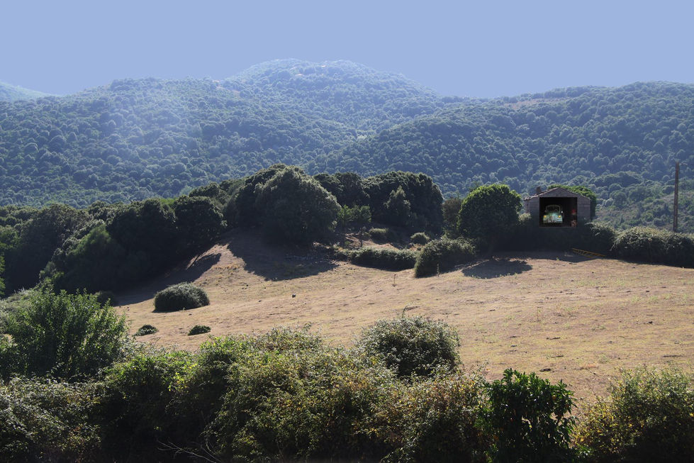 36322713_10214702670674235_2552915207689076736_n