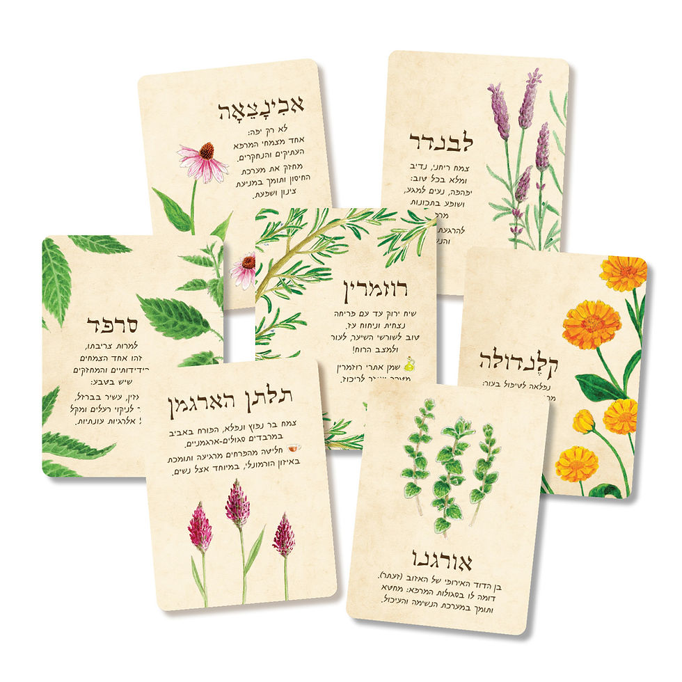 מגנטים צמחי מרפא 2.jpg