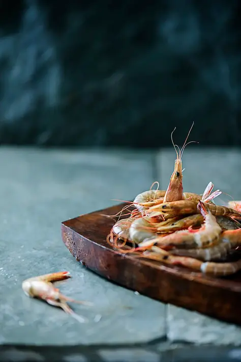 Top 6 Burning Questions Restaurants Ask About Food Photography in Dubai to AI but now Answered by Experts